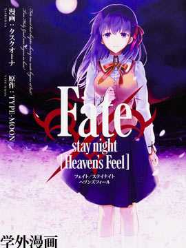 Fate/stay night Heaven's Feel