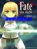 宿命之夜Fate-staynight