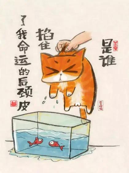 2018最扎心的歪理猫单幅漫画_6